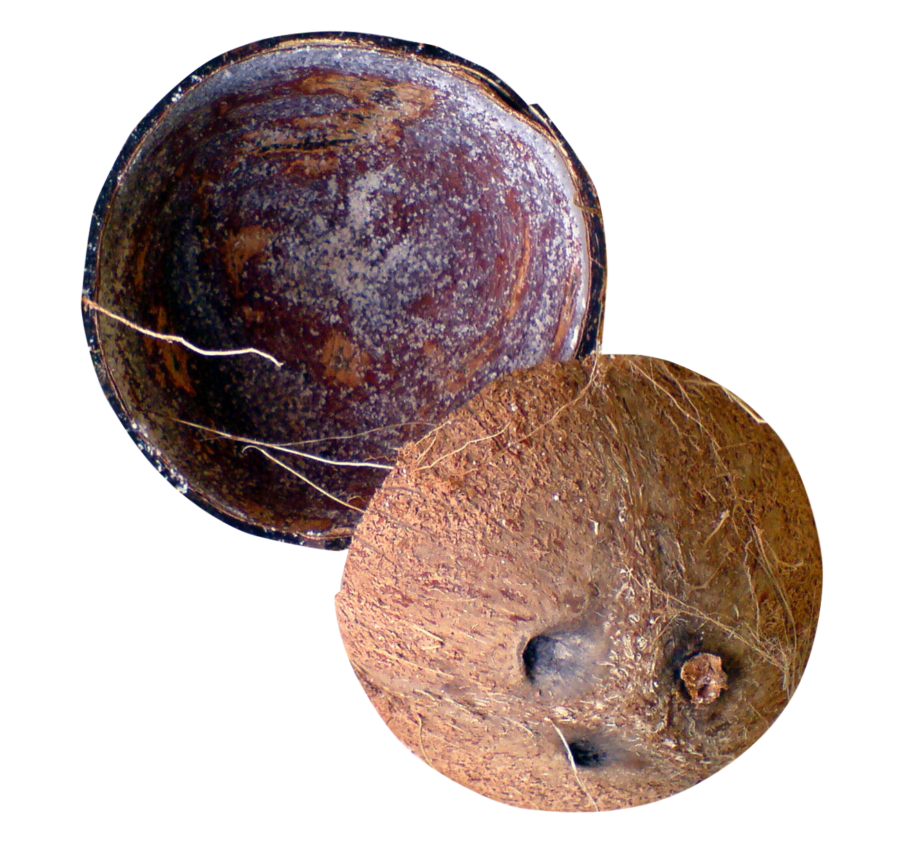 A Coconut Shell With A Hole In The Middle