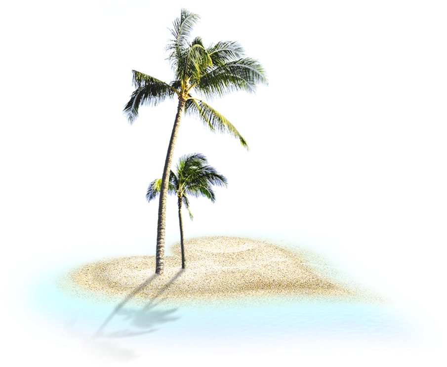 Palm Trees On A Small Island
