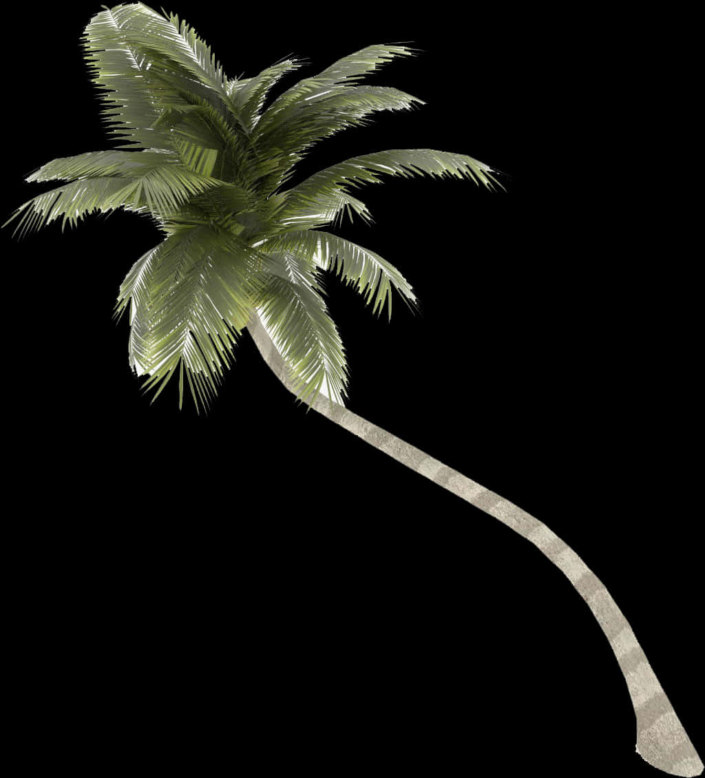 A Palm Tree With A Curved Trunk