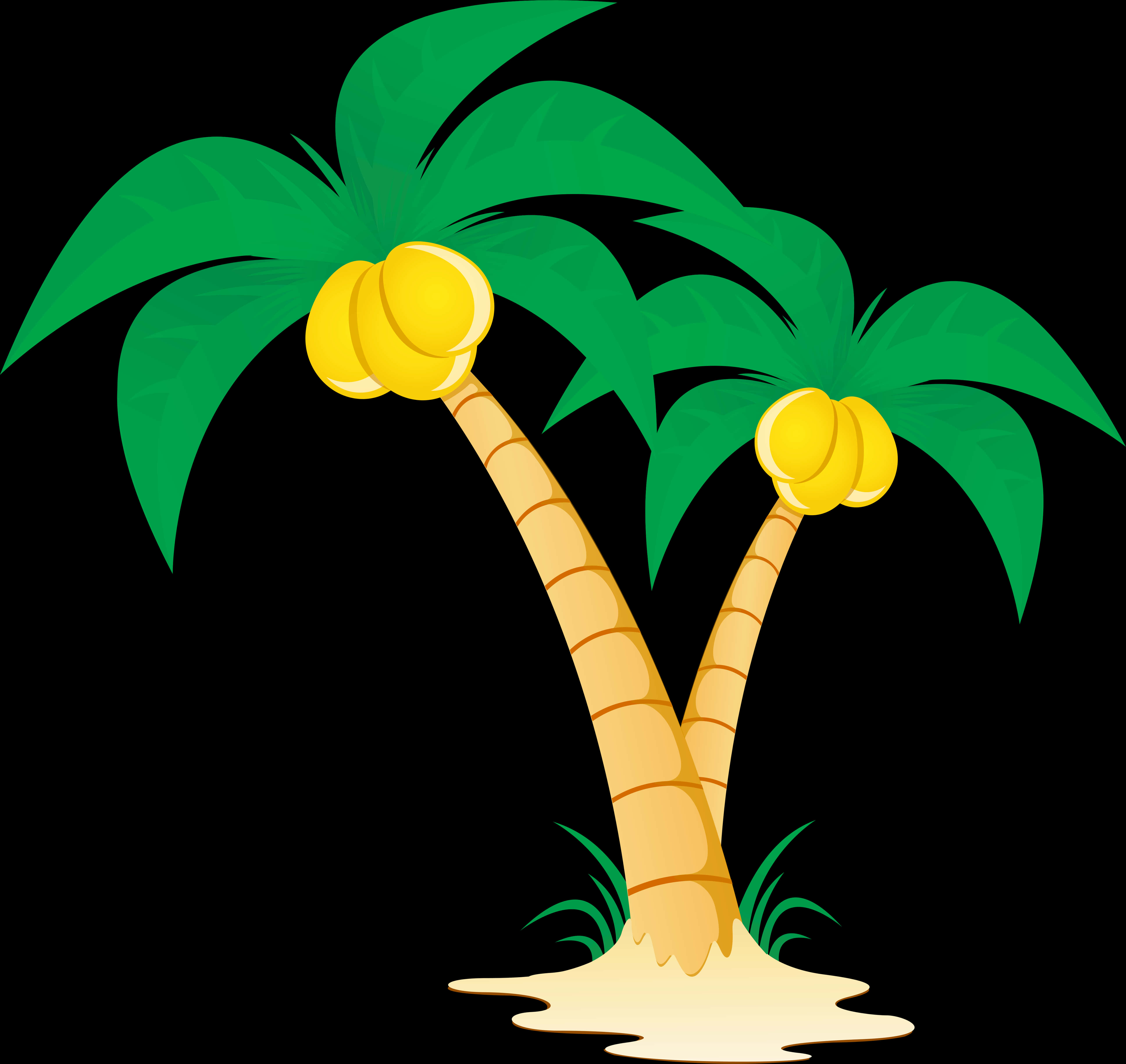 A Palm Trees With Fruits On Them