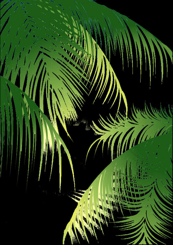 A Close-up Of A Palm Tree