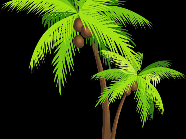 A Palm Trees With Coconuts On Them