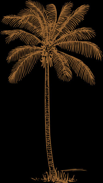 A Palm Tree With Many Leaves