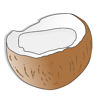 A Half Of A Coconut