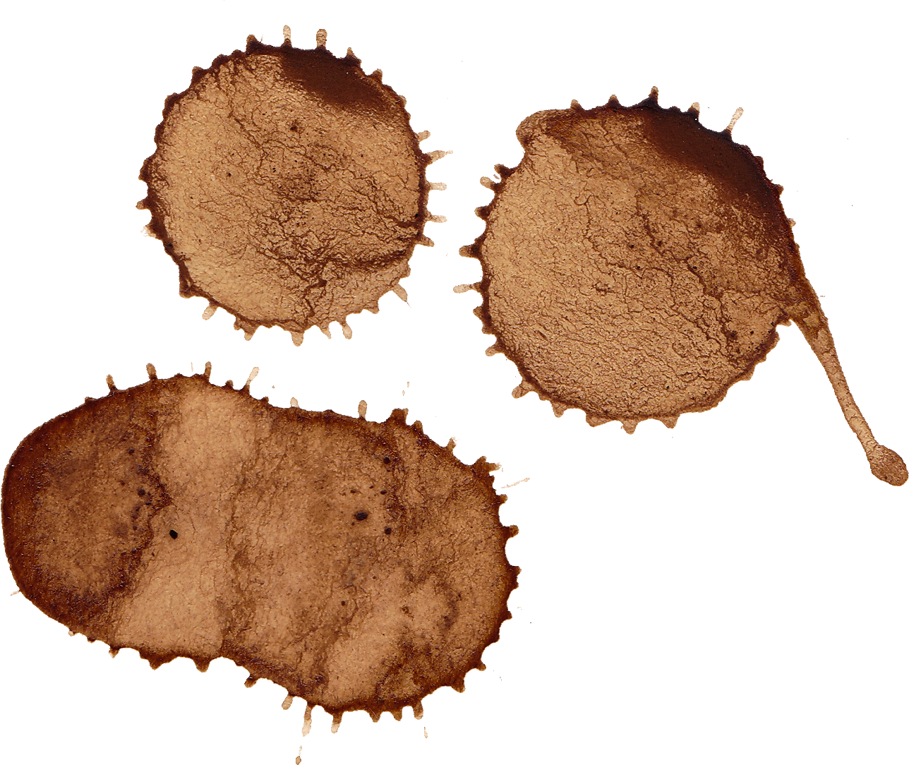 A Group Of Blots Of Brown Liquid