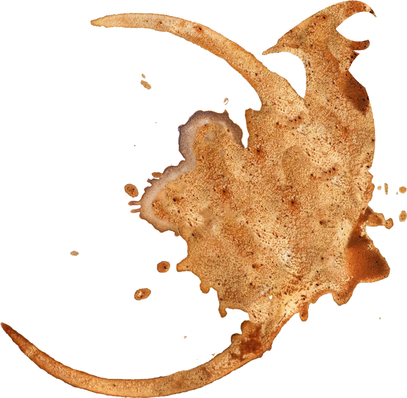 Coffee Stain Png 1375 X 1345