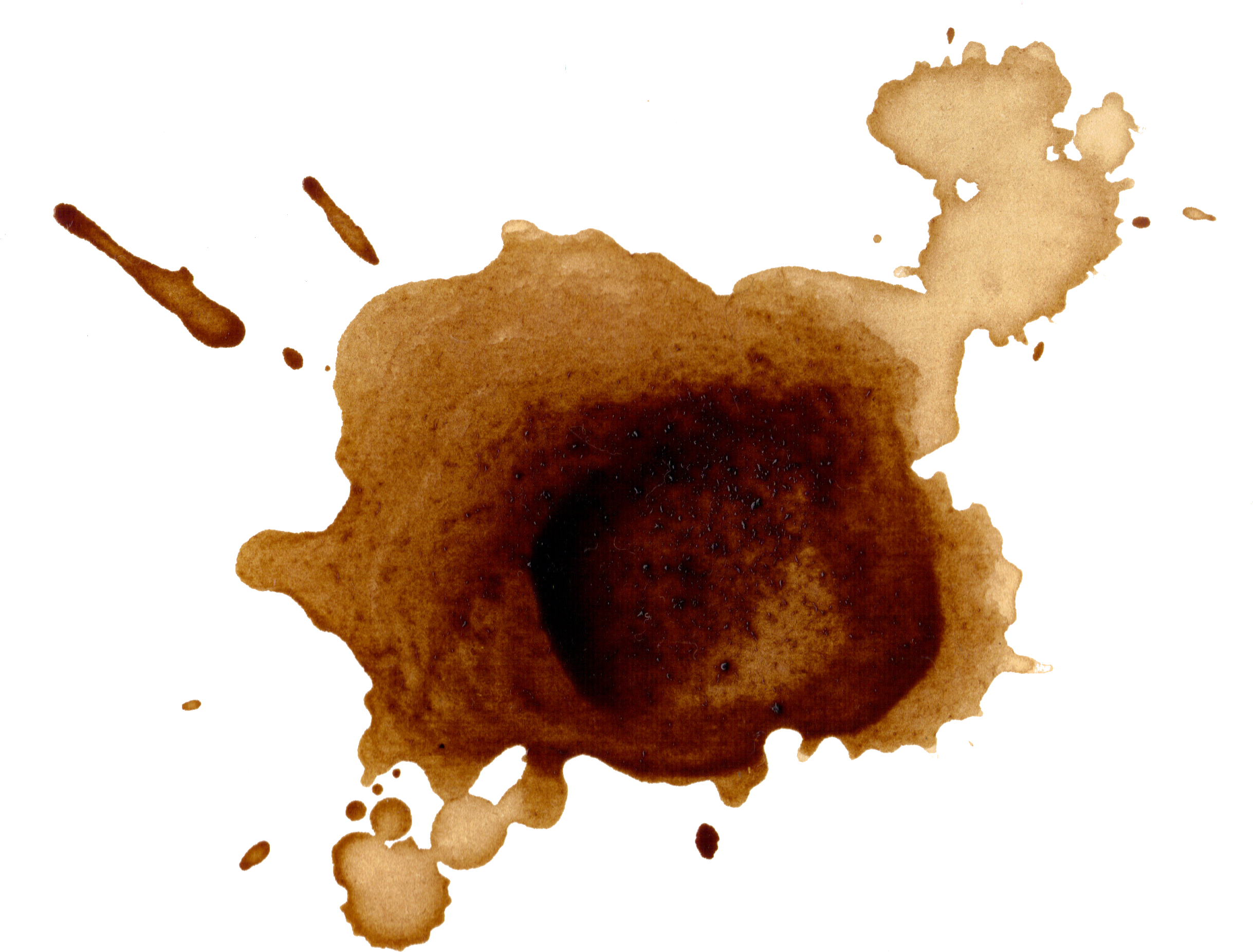Coffee Stain Png 2438 X 1852