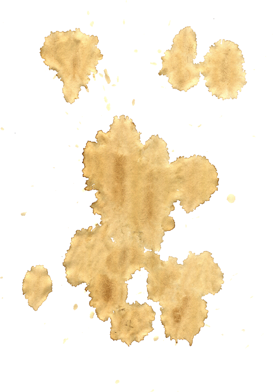 Coffee Stain Png 558 X 800