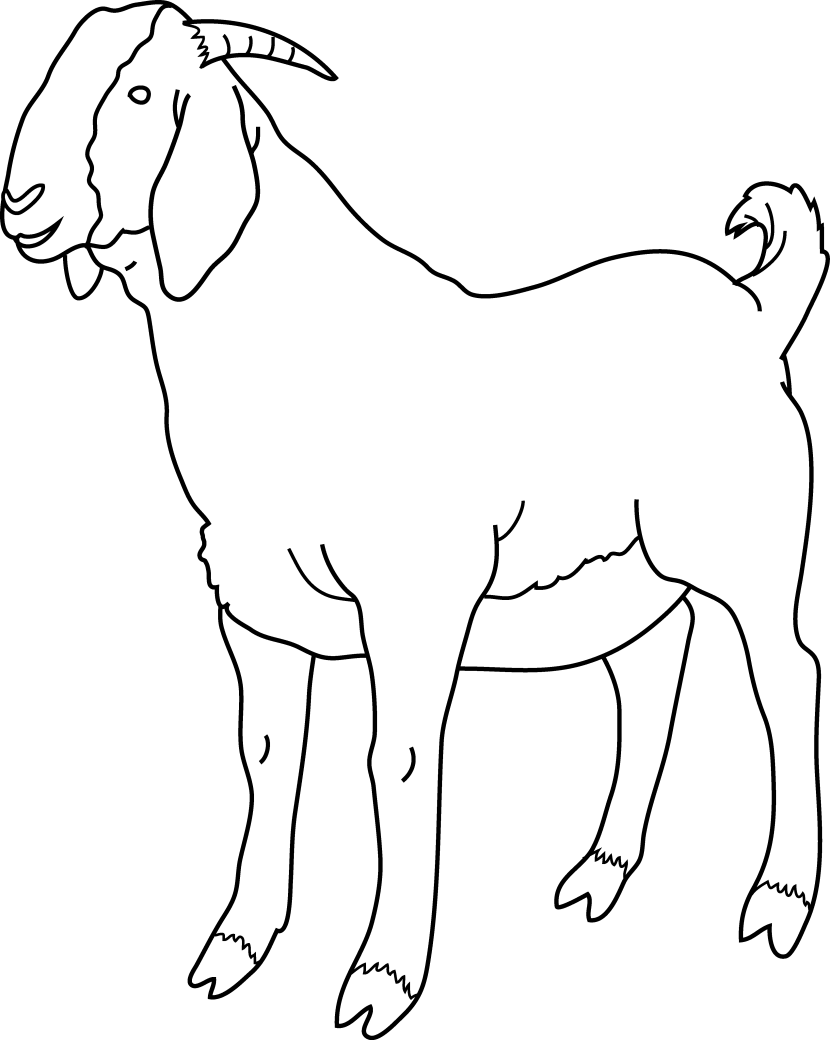 A White Outline Of A Goat