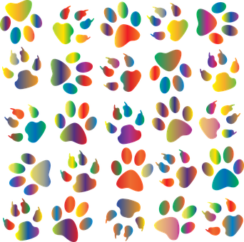 Colorful Png 342 X 340
