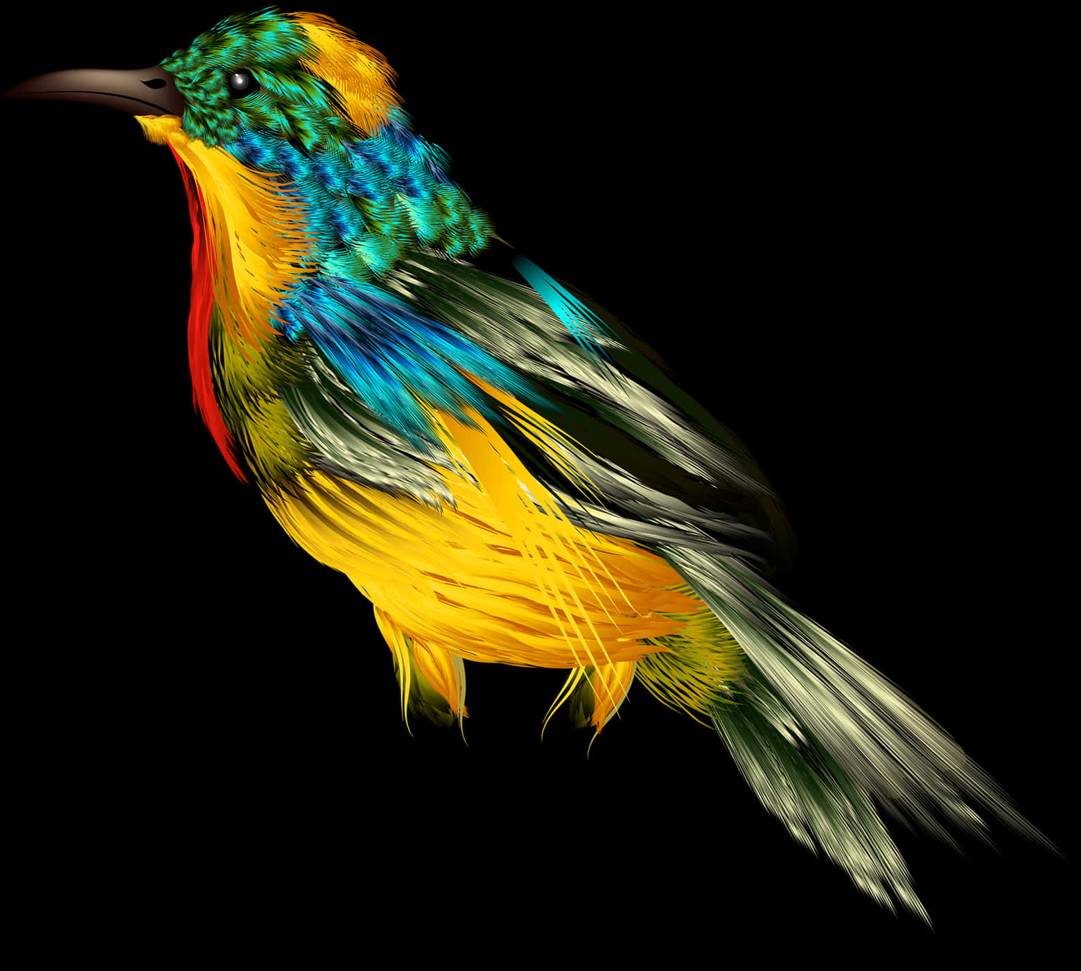 A Colorful Bird With Black Background