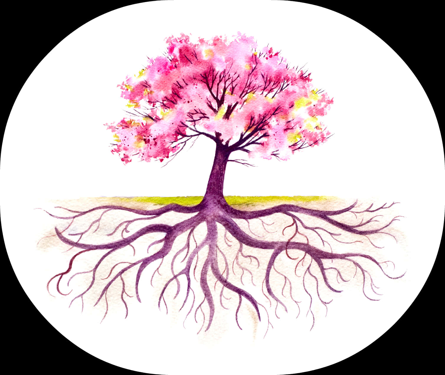 A Tree With Pink Flowers And Roots