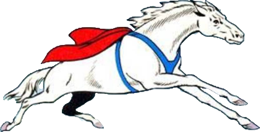 A White Horse With A Red Cape