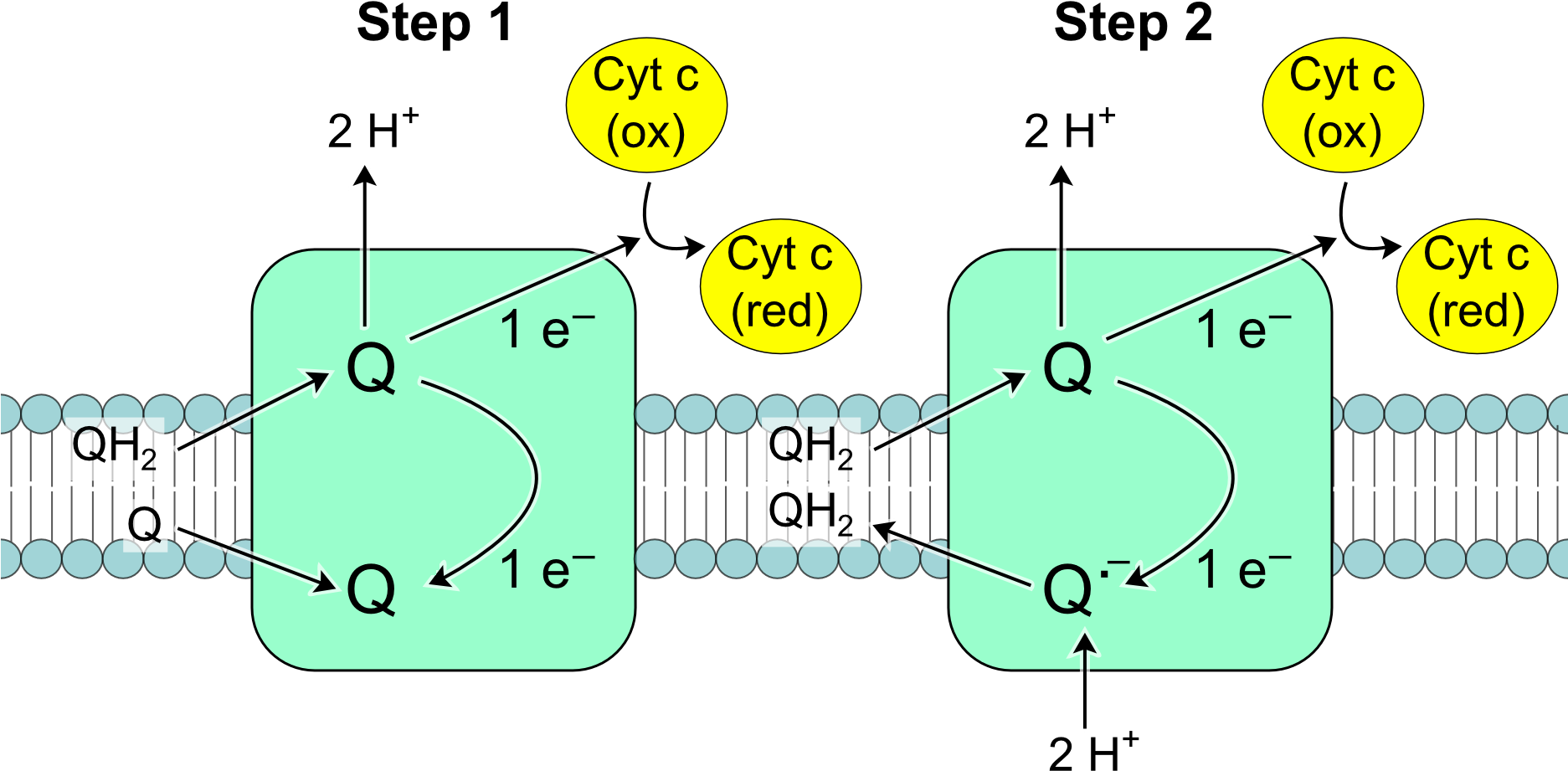 A Diagram Of A Complex Formula
