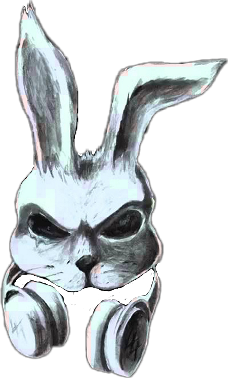 A Rabbit With A Skull