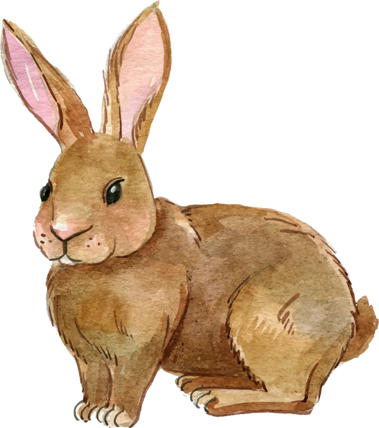 A Watercolor Of A Rabbit