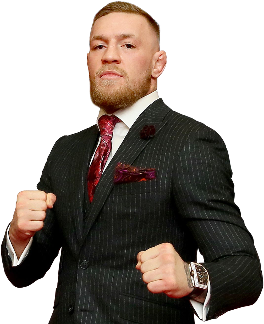 Conor Mcgregor Png - Liam Gallagher Conor Mcgregor, Transparent Png