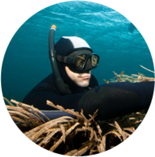 Conseil Choisir Masque Chasse Sous Marine Subea - Spearfishing, Hd Png Download