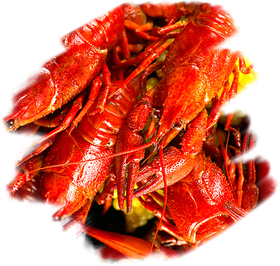 A Pile Of Red Lobsters