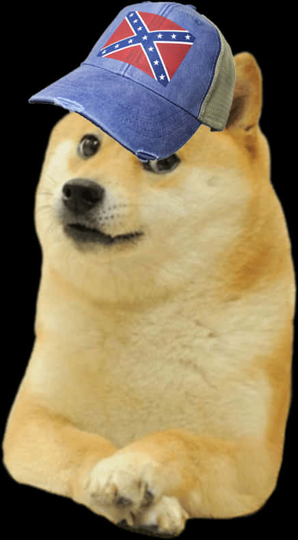 A Dog Wearing A Hat