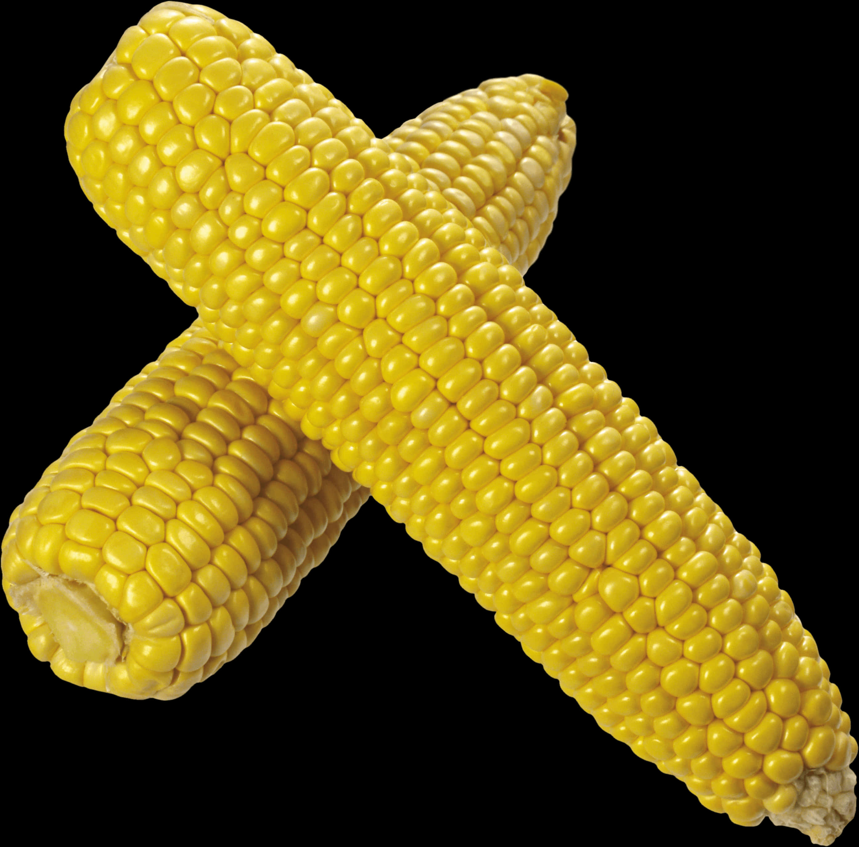 Two Corn On The Cob