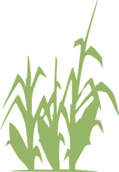 A Green Plant Silhouette On A Black Background