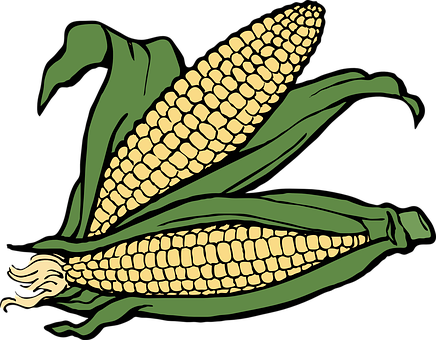A Corn On The Cob