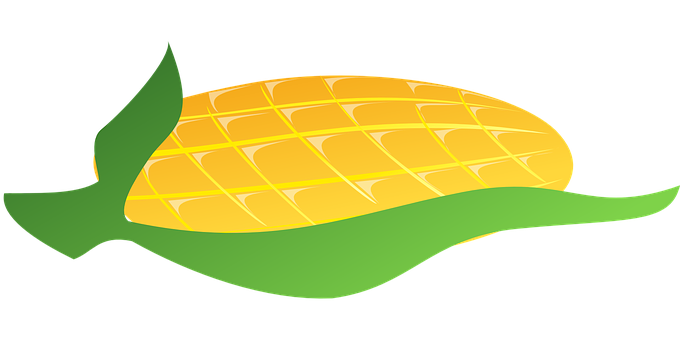 A Yellow And Green Corn