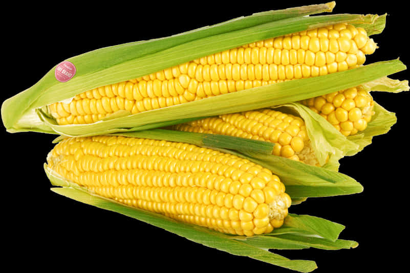 A Group Of Corn On The Cob