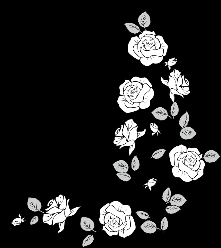 A White Roses And Leaves On A Black Background
