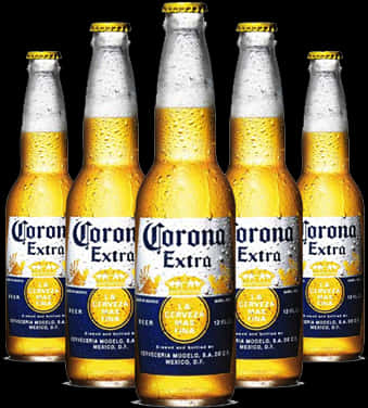 Five Corona Beer Bottles