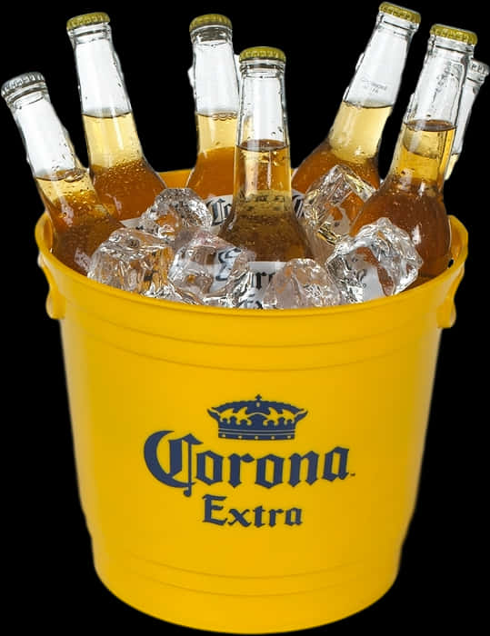 Seven Corona Beer Bottles