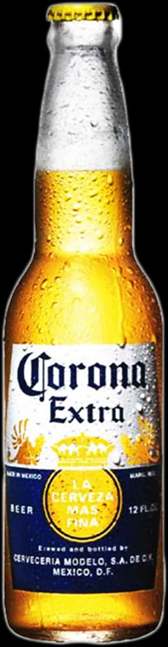 Cold Corona Beer Bottle