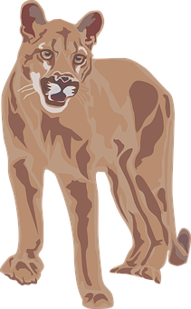 A Drawing Of A Cougar
