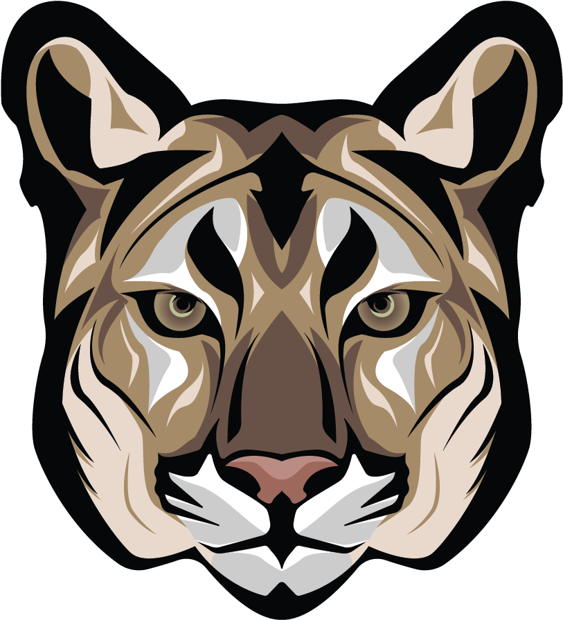 A Tiger's Face With A Black Background