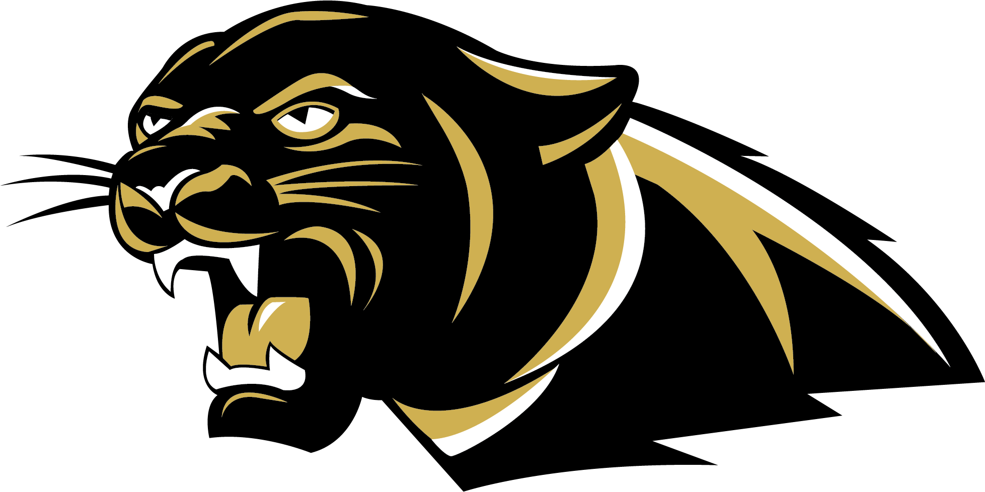 A Black And Gold Panther