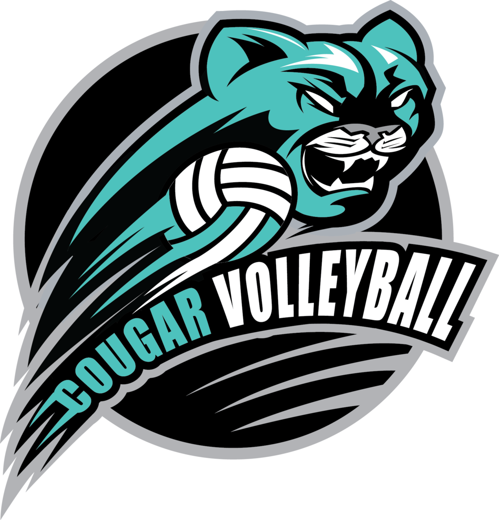A Logo Of A Volleyball Player