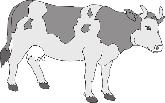A Cow With A Black Background