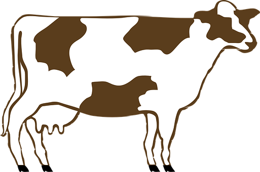 A Cow With Black Background