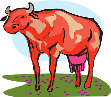 A Red Cow With Horns Standing On Grass