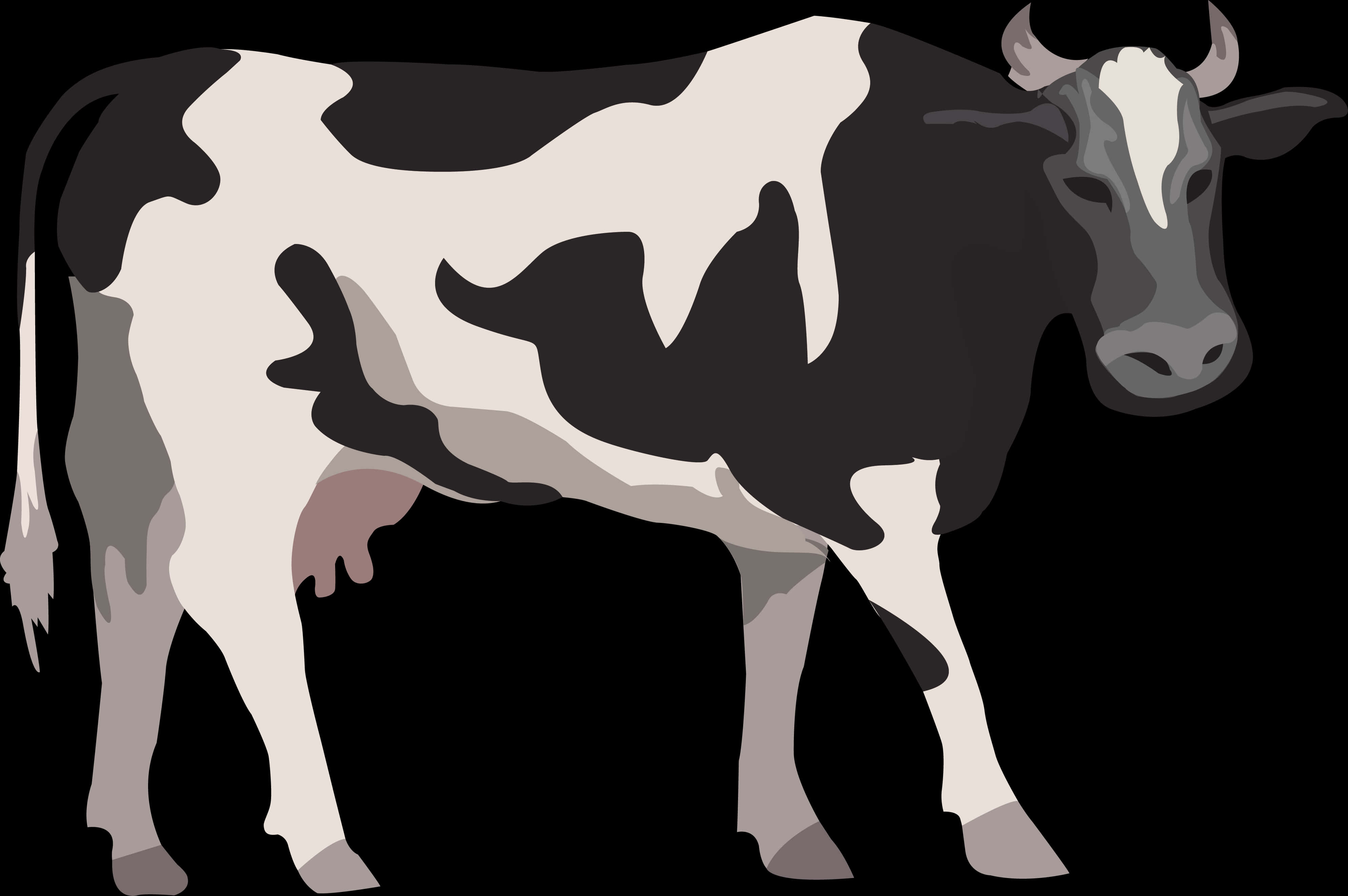 A Cow With Black Spots