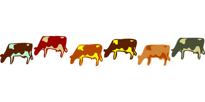 A Group Of Cows With Melted Liquid