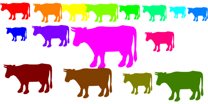 A Group Of Colorful Cows