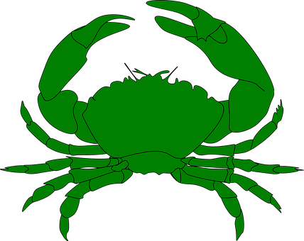 A Green Crab On A Black Background
