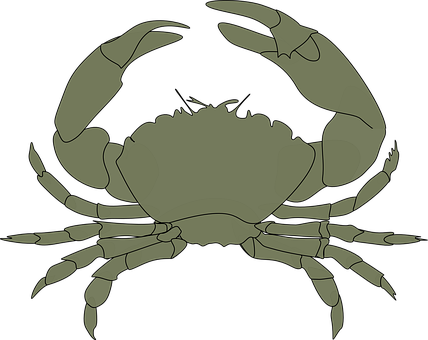 A Crab With Claws On A Black Background