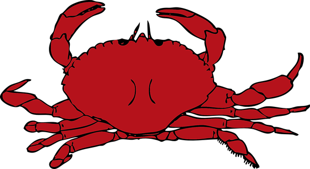 A Red Crab With Claws