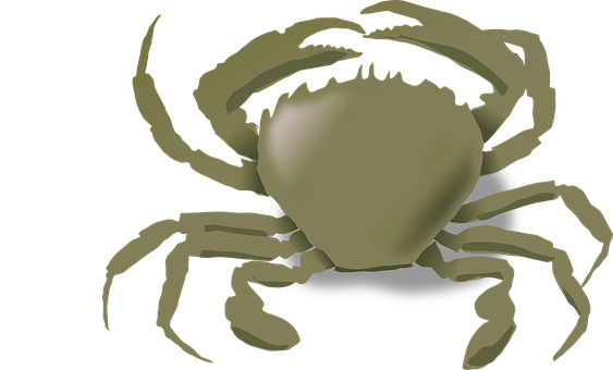 A Crab With Claws And Claws