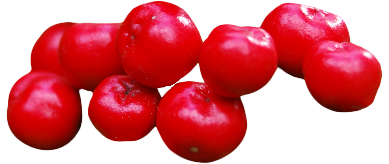 A Group Of Red Round Fruits