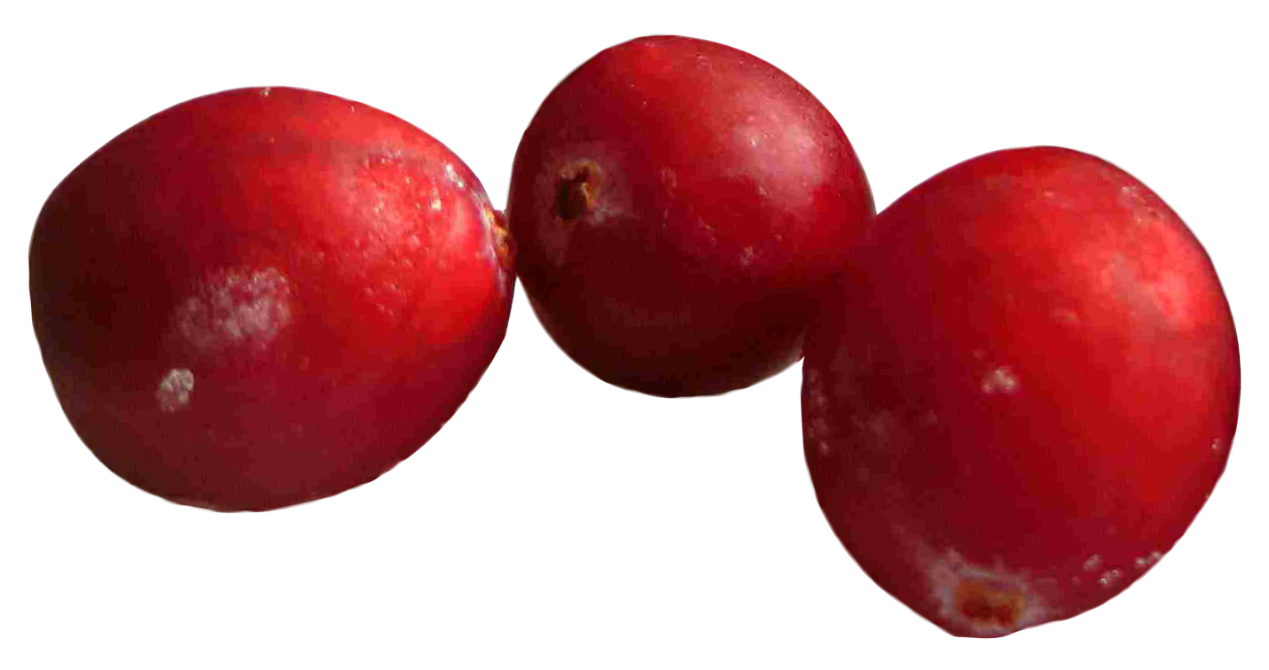 A Group Of Red Round Objects