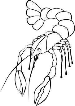 A Black And White Drawing Of A Lobster